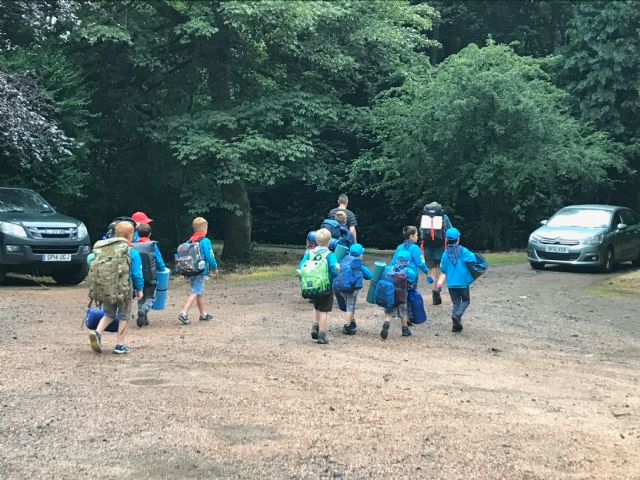 Beavers with campgear as big as themselves!